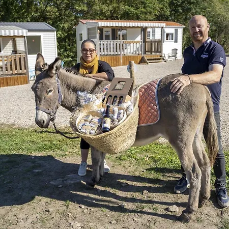 Tente Au Proche Des Anes