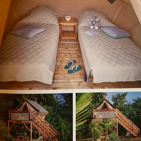 Tente Au Proche Des ânes * Bressuire