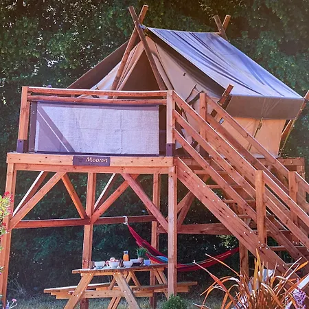 Tente Au Proche Des ânes