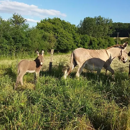 Glamping Tente Au Proche Des Anes *