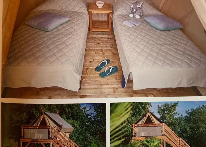 Tente Au Proche Des Anes * Bressuire