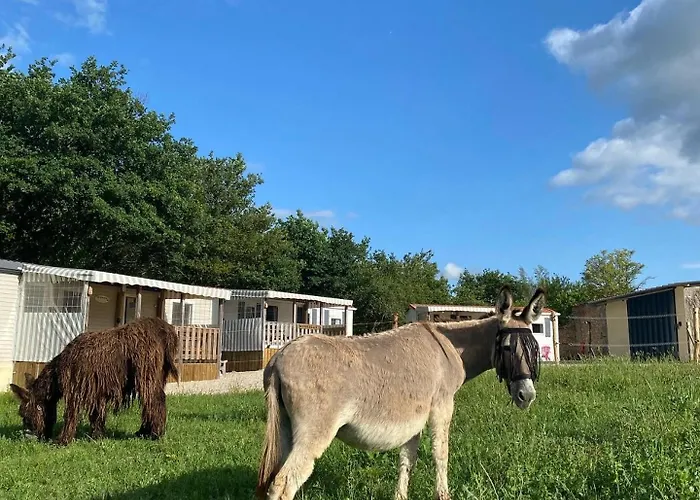 Tente Au Proche Des Anes Luxury tent Bressuire