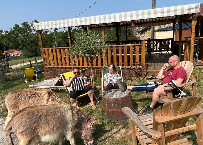 Tente Au Proche Des Anes